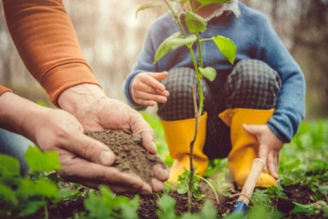 Gift Ideas for Tu Bishvat